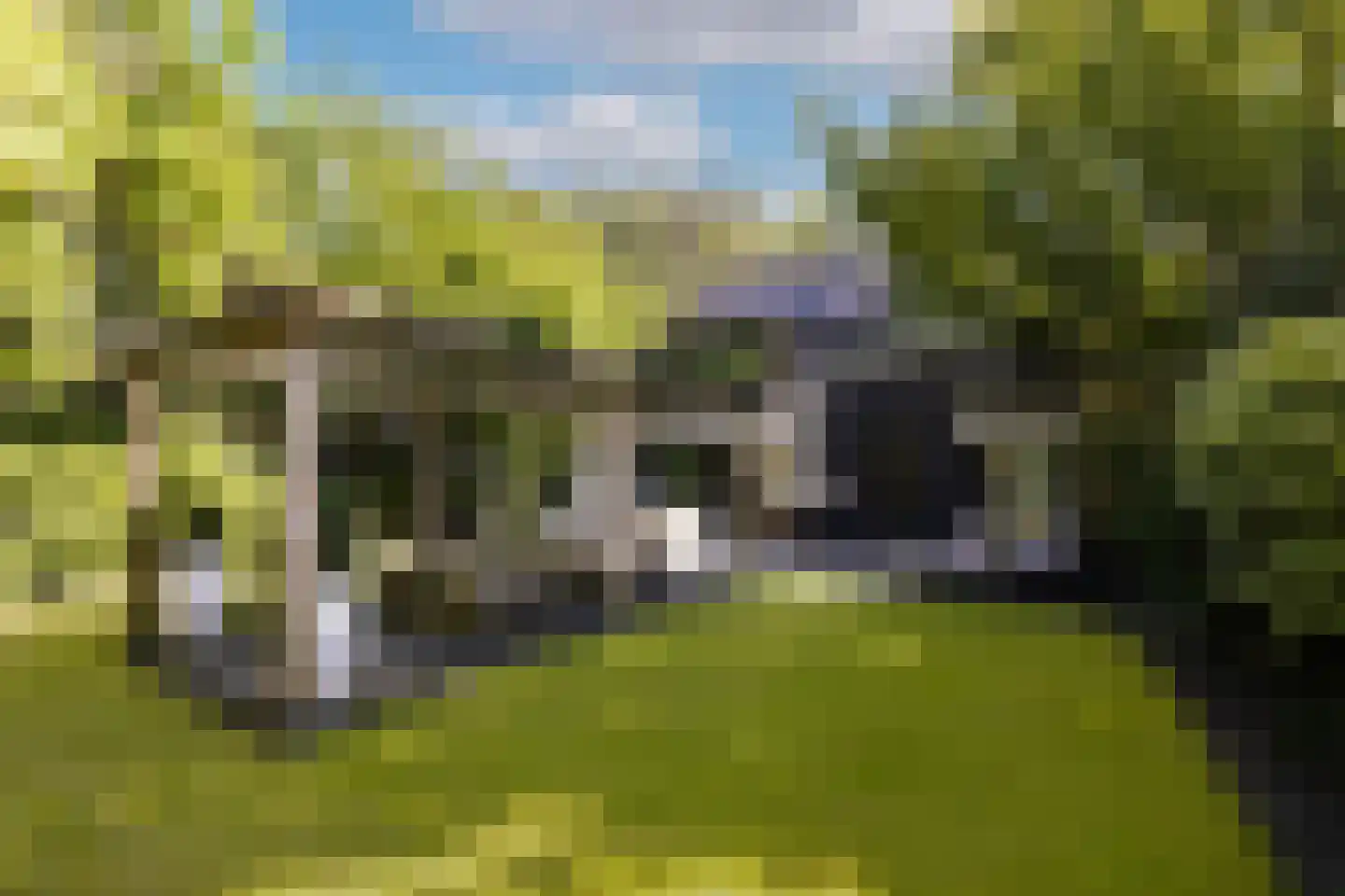 Herdershoeve 3 Laren thumbnail 48