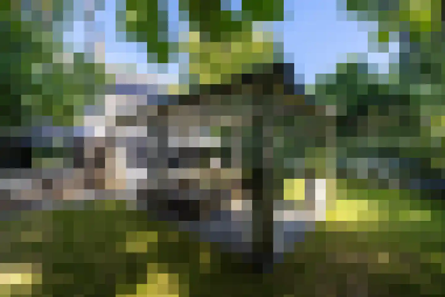 Herdershoeve 3 Laren thumbnail 49