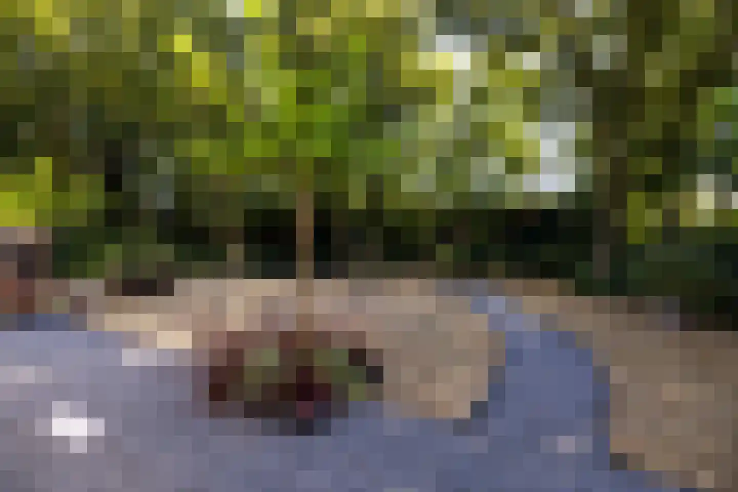 Herdershoeve 3 Laren thumbnail 56