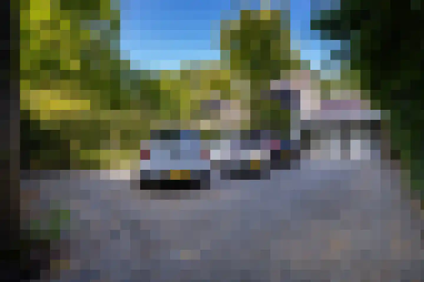 Herdershoeve 3 Laren thumbnail 64