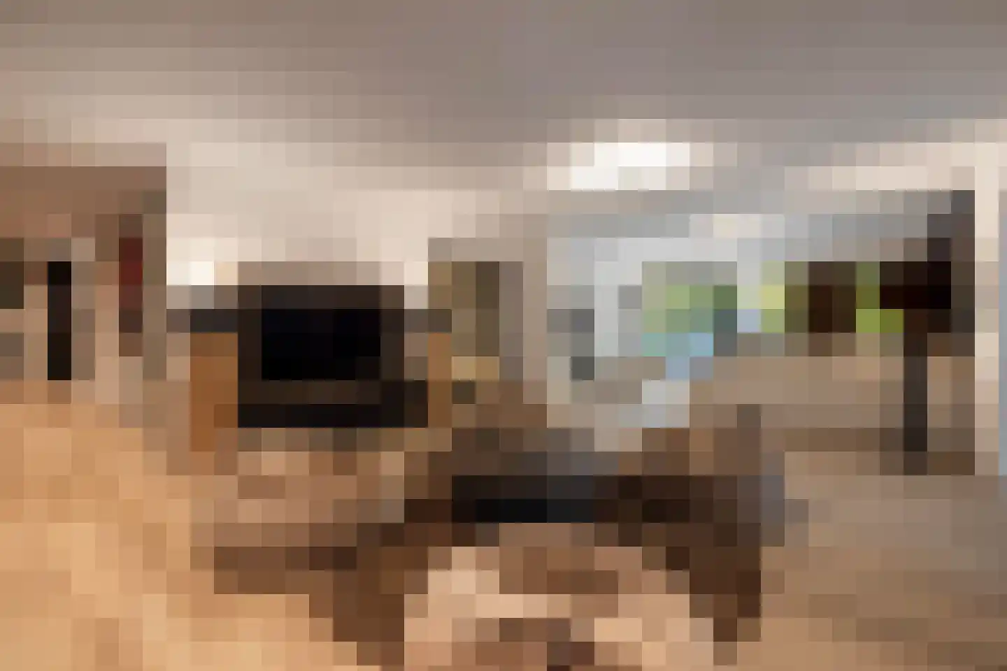 Herdershoeve 3 Laren thumbnail 8