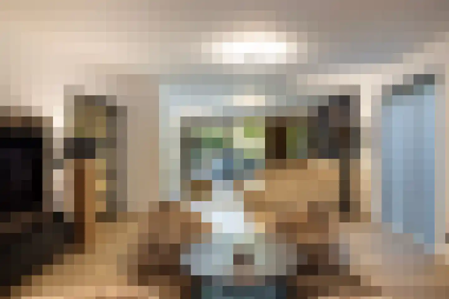 Herdershoeve 3 Laren thumbnail 9