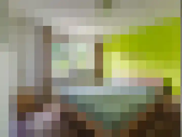 Herdershof 3 Warnsveld thumbnail 15