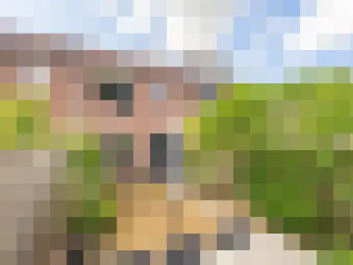 Herdershof 3 Warnsveld thumbnail 26