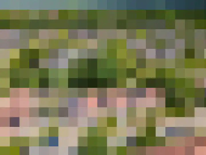Herdershof 3 Warnsveld thumbnail 29