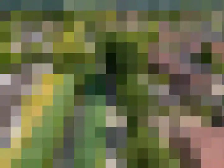 Herdershof 3 Warnsveld thumbnail 30