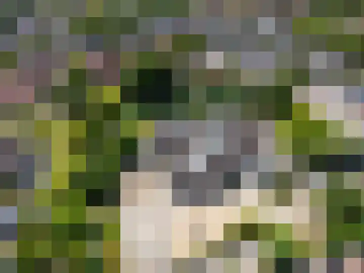Herdershof 3 Warnsveld thumbnail 31