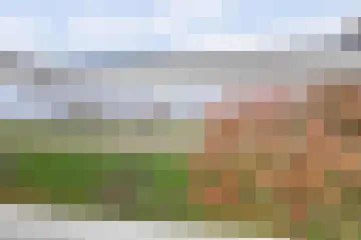Herdershof 30 Ermelo thumbnail 30
