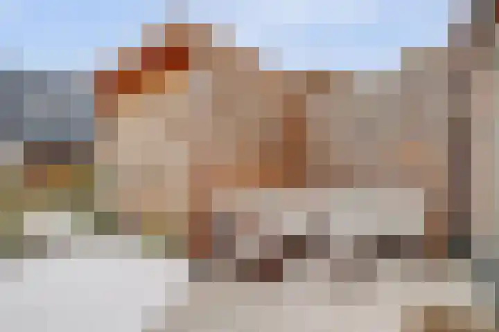 Herdershof 30 Ermelo thumbnail 34