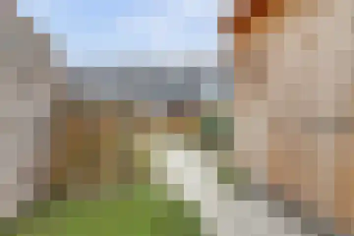 Herdershof 30 Ermelo thumbnail 36