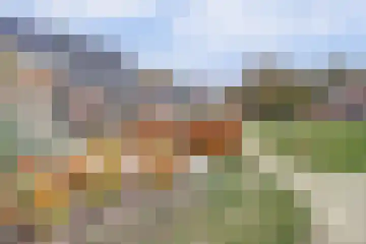 Herdershof 30 Ermelo thumbnail 37
