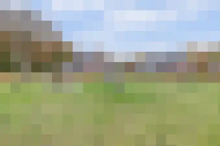Herdershof 30 Ermelo thumbnail 38
