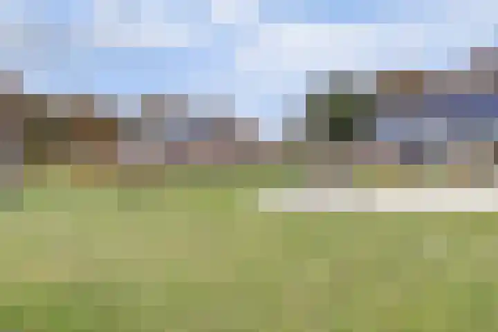 Herdershof 30 Ermelo thumbnail 39