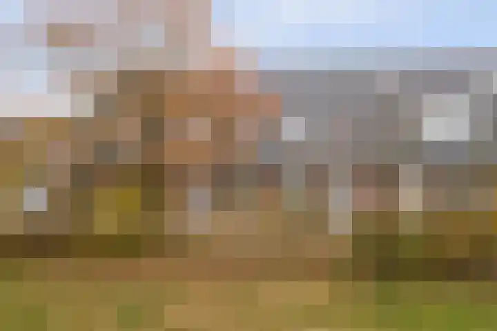 Herdershof 30 Ermelo thumbnail 41