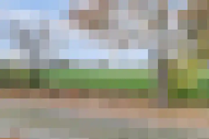 Herdershof 30 Ermelo thumbnail 42