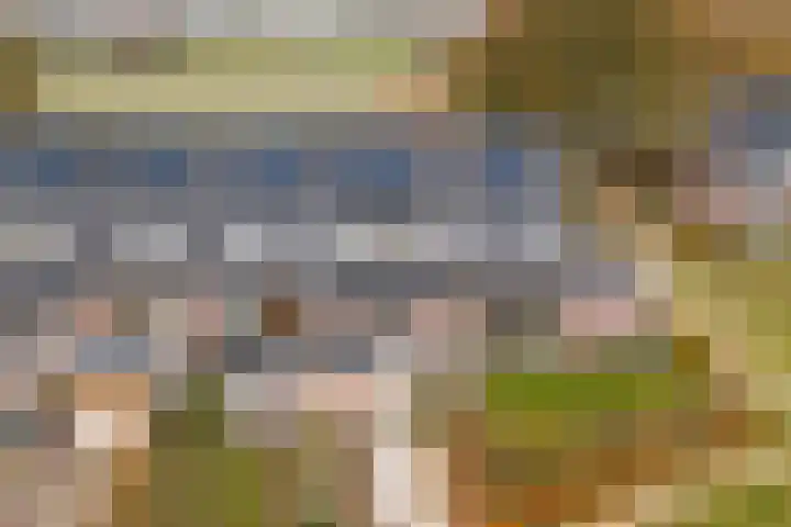 Herdershof 30 Ermelo thumbnail 45