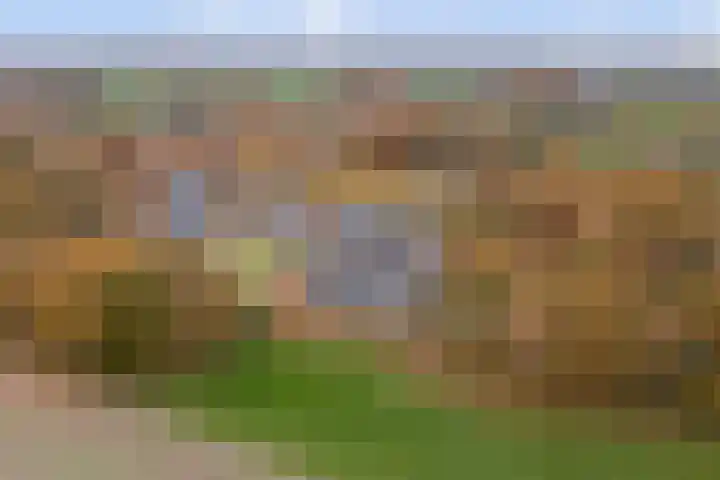 Herdershof 30 Ermelo thumbnail 46