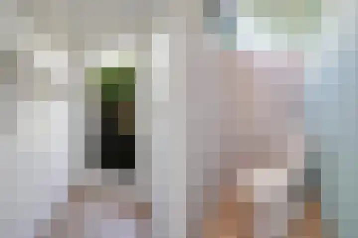 Herderslaan 21 Den Haag thumbnail 22