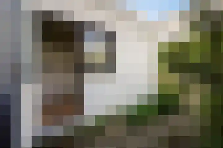 Herderslaan 21 Den Haag thumbnail 23