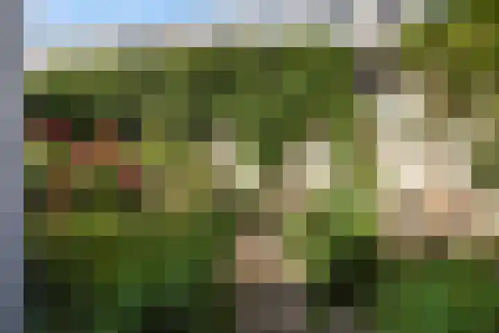Herderslaan 21 Den Haag thumbnail 24
