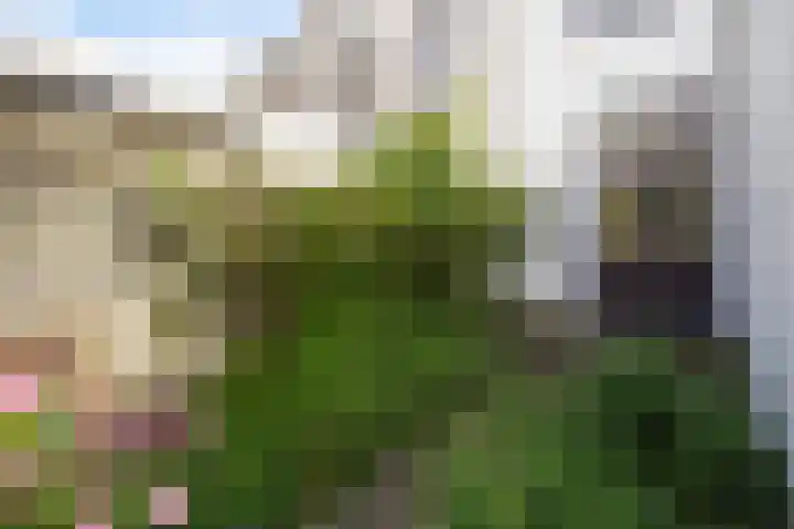 Herderslaan 21 Den Haag thumbnail 25
