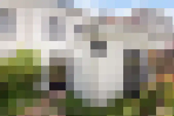 Herderslaan 21 Den Haag thumbnail 26