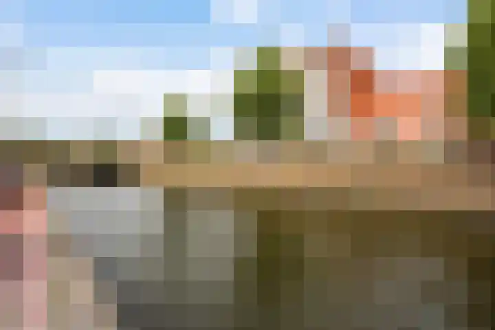 Herderslaan 21 Den Haag thumbnail 48