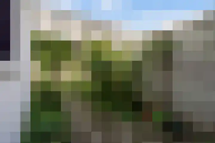 Herderslaan 21 Den Haag thumbnail 5