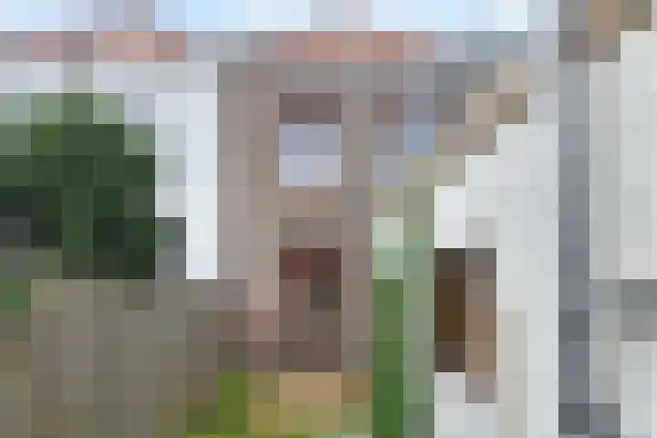 Herderslaan 68 Den Haag thumbnail 16