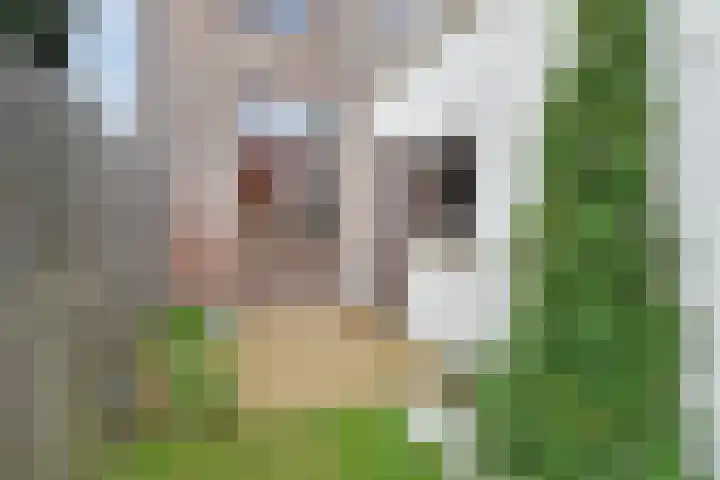 Herderslaan 68 Den Haag thumbnail 17