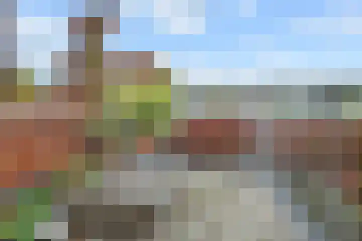 Herderslaan 68 Den Haag thumbnail 28