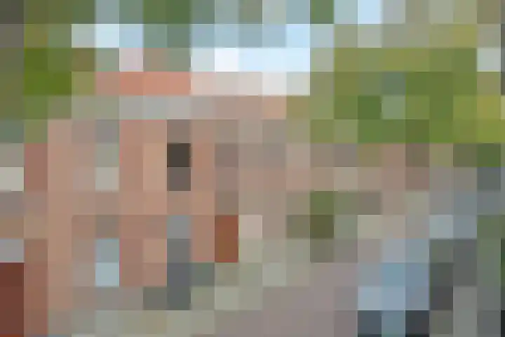 Herderslaan 68 Den Haag thumbnail 33