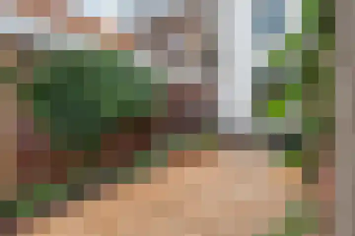 Herderslaan 88 Den Haag thumbnail 29
