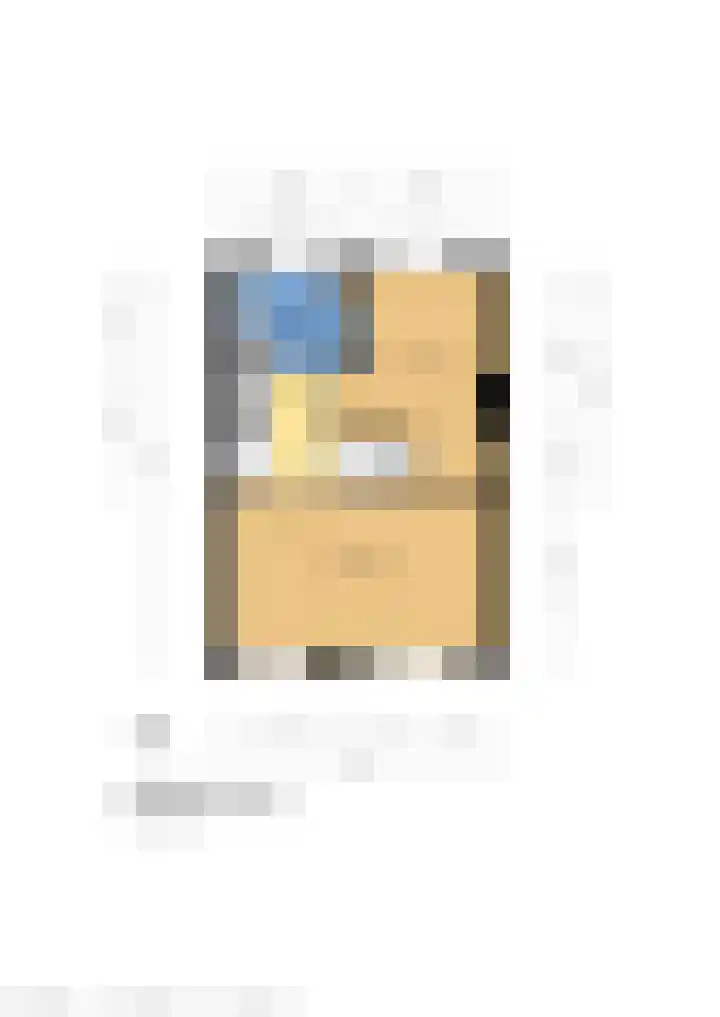 Herderslaan 88 Den Haag thumbnail 31