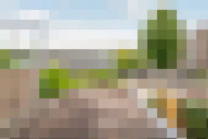 Herderslaan 88 Den Haag thumbnail 4