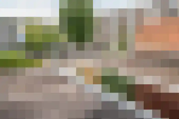 Herderslaan 88 Den Haag thumbnail 42