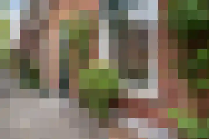 Herderslaan 88 Den Haag thumbnail 5