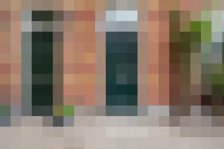 Herderslaan 88 Den Haag thumbnail 7