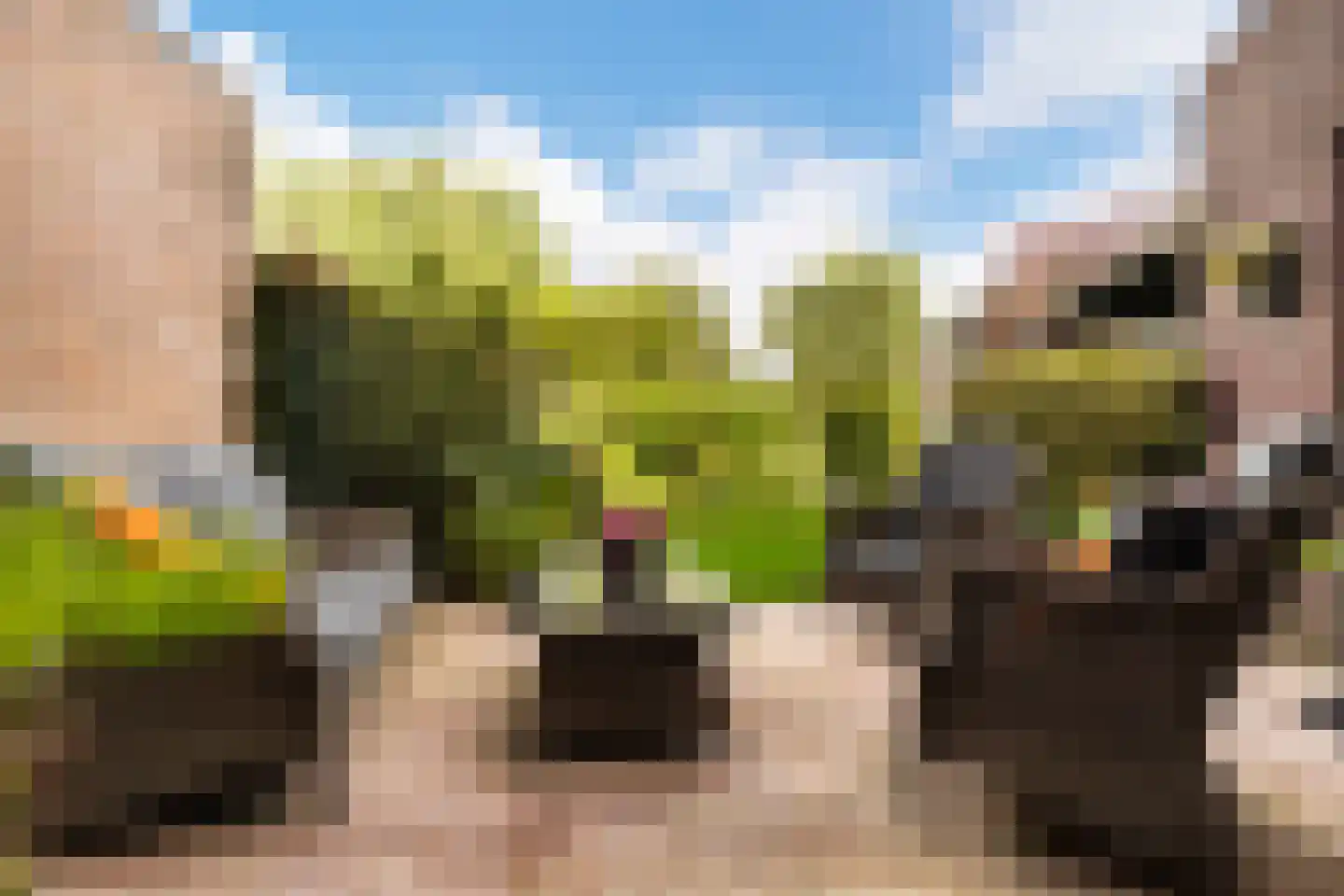 Herdersstaf 22 Soest thumbnail 25
