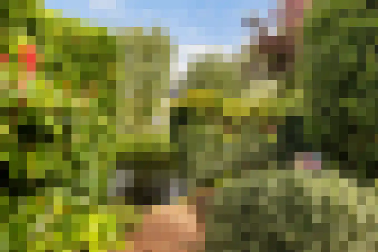 Herdersstaf 22 Soest thumbnail 26