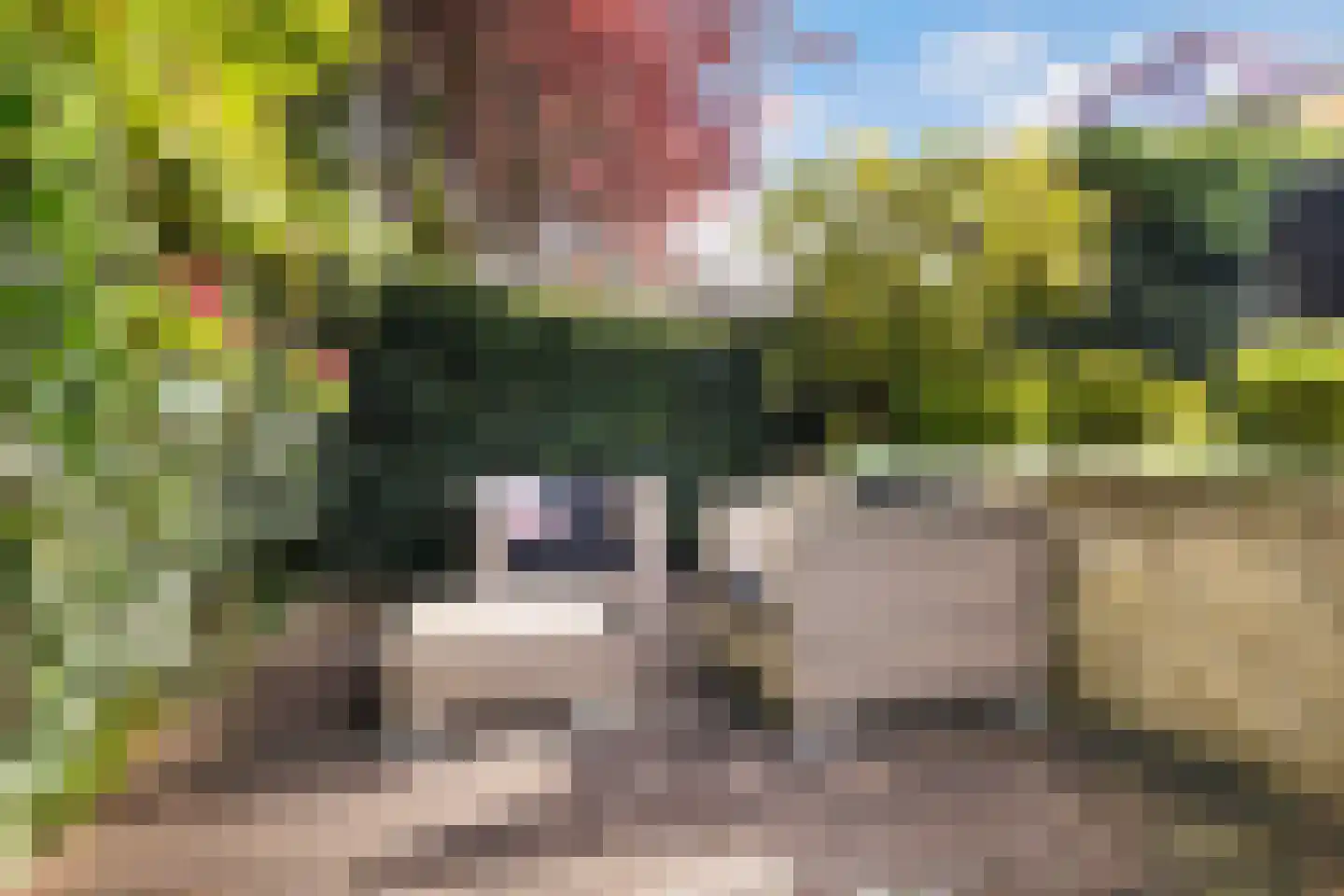 Herdersstaf 22 Soest thumbnail 27
