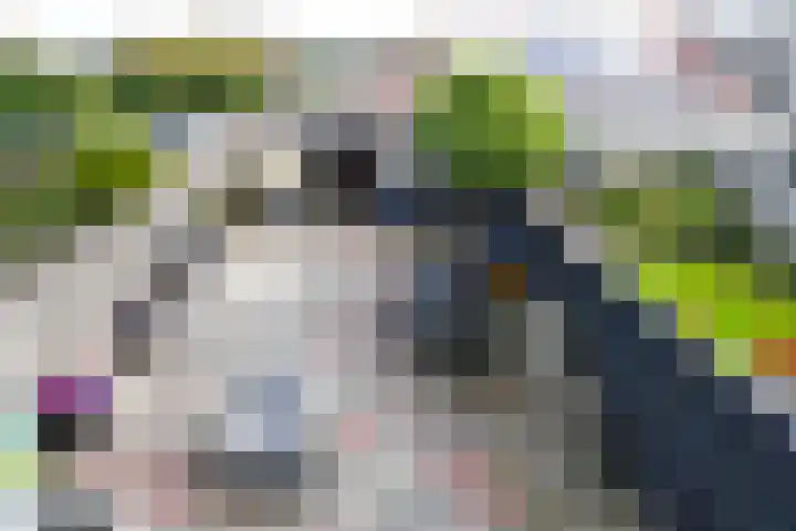 Herderstasje 11 Eemnes thumbnail 19