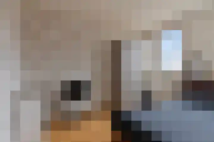 Herderstasje 14 Venray thumbnail 22