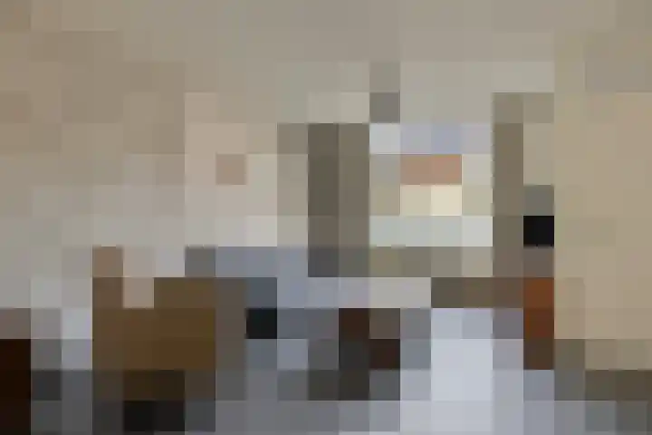 Herderstasje 14 Venray thumbnail 8