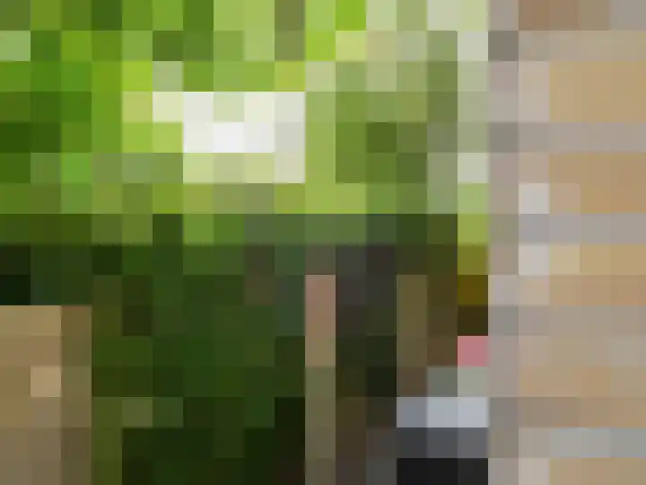Herderstasje 15 Eemnes thumbnail 33