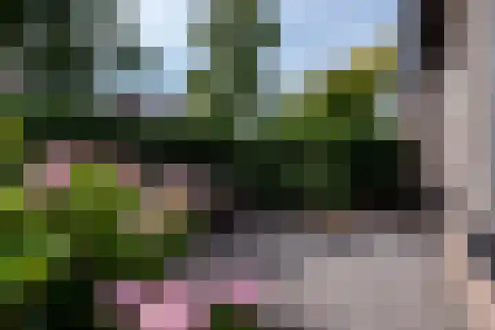 Herderstasje 15 Eemnes thumbnail 34