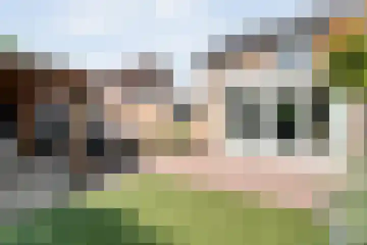 Herderstasje 52 Hardenberg thumbnail 45