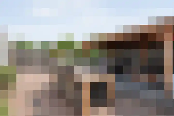 Herderstasje 52 Hardenberg thumbnail 48