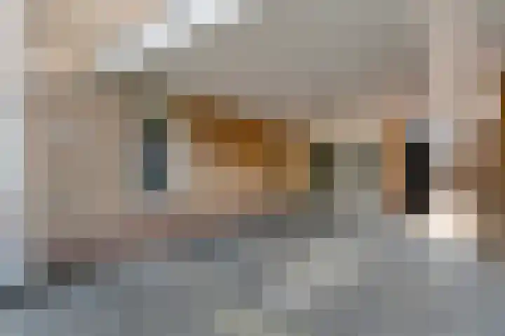 Herderstasje 52 Hardenberg thumbnail 6