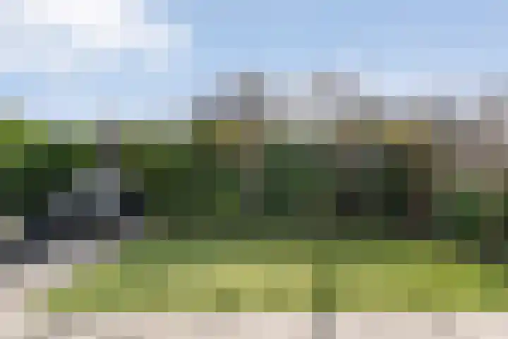 Herderstasje 54 Hardenberg thumbnail 49